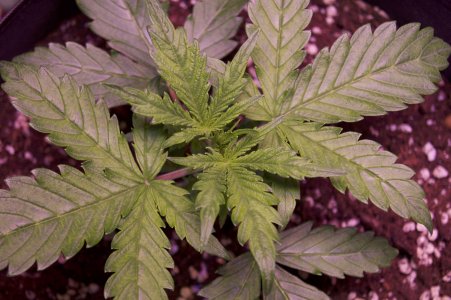 DSC04363.jpeg DSC04363.jpeg