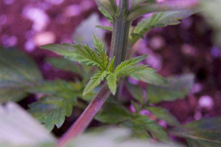 DSC04369.jpeg DSC04369.jpeg