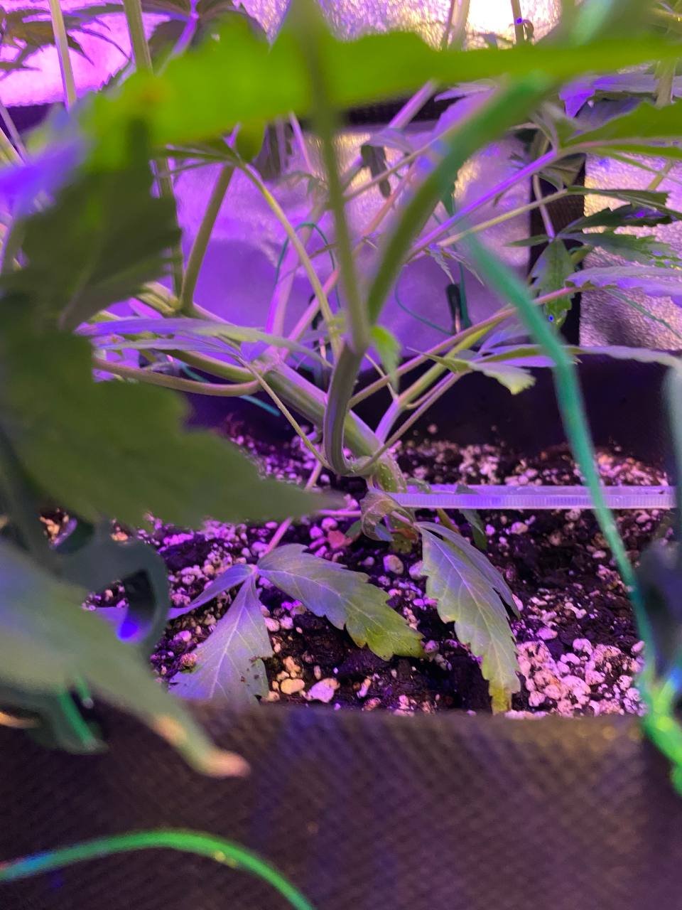 photo1676739698 (2).jpeg