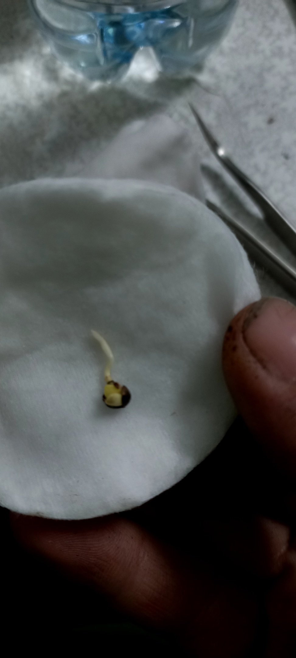 8an_I6OB9ME.jpg 8an_I6OB9ME.jpg