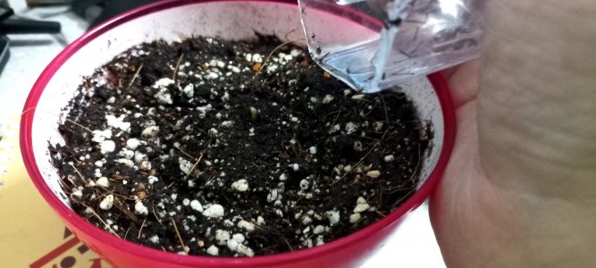 PoTcAhhNxWQ.jpg PoTcAhhNxWQ.jpg