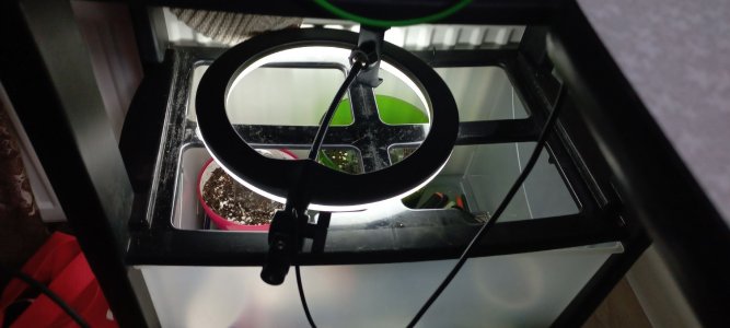 _tSG_Z_zZ9g.jpg _tSG_Z_zZ9g.jpg