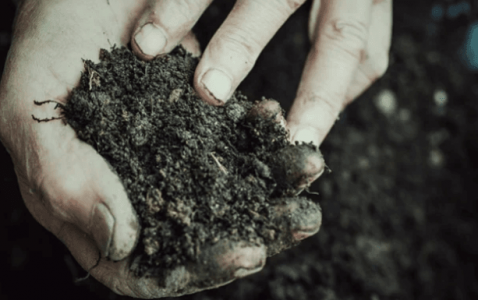 1676902224043.png 1676902224043.png