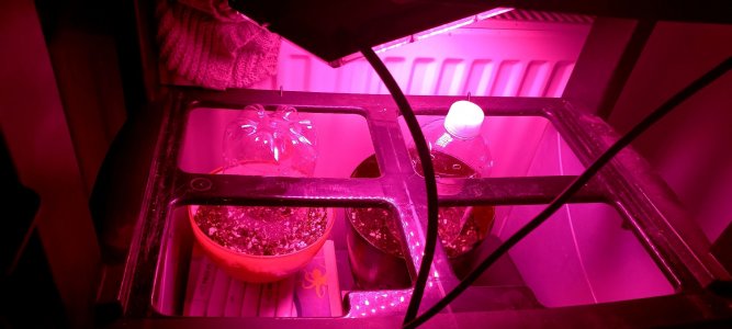 PWMWm0vW1QA.jpg PWMWm0vW1QA.jpg