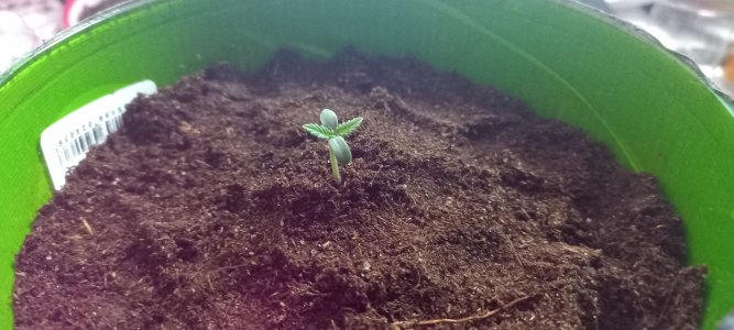 eWPWx6X5coA.jpg eWPWx6X5coA.jpg