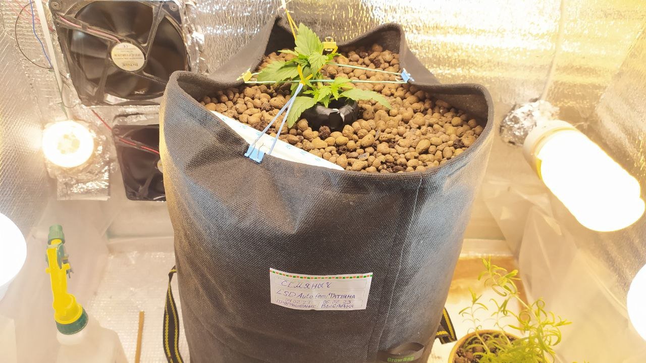 photo_2023-02-21_22-01-10.jpg photo_2023-02-21_22-01-10.jpg