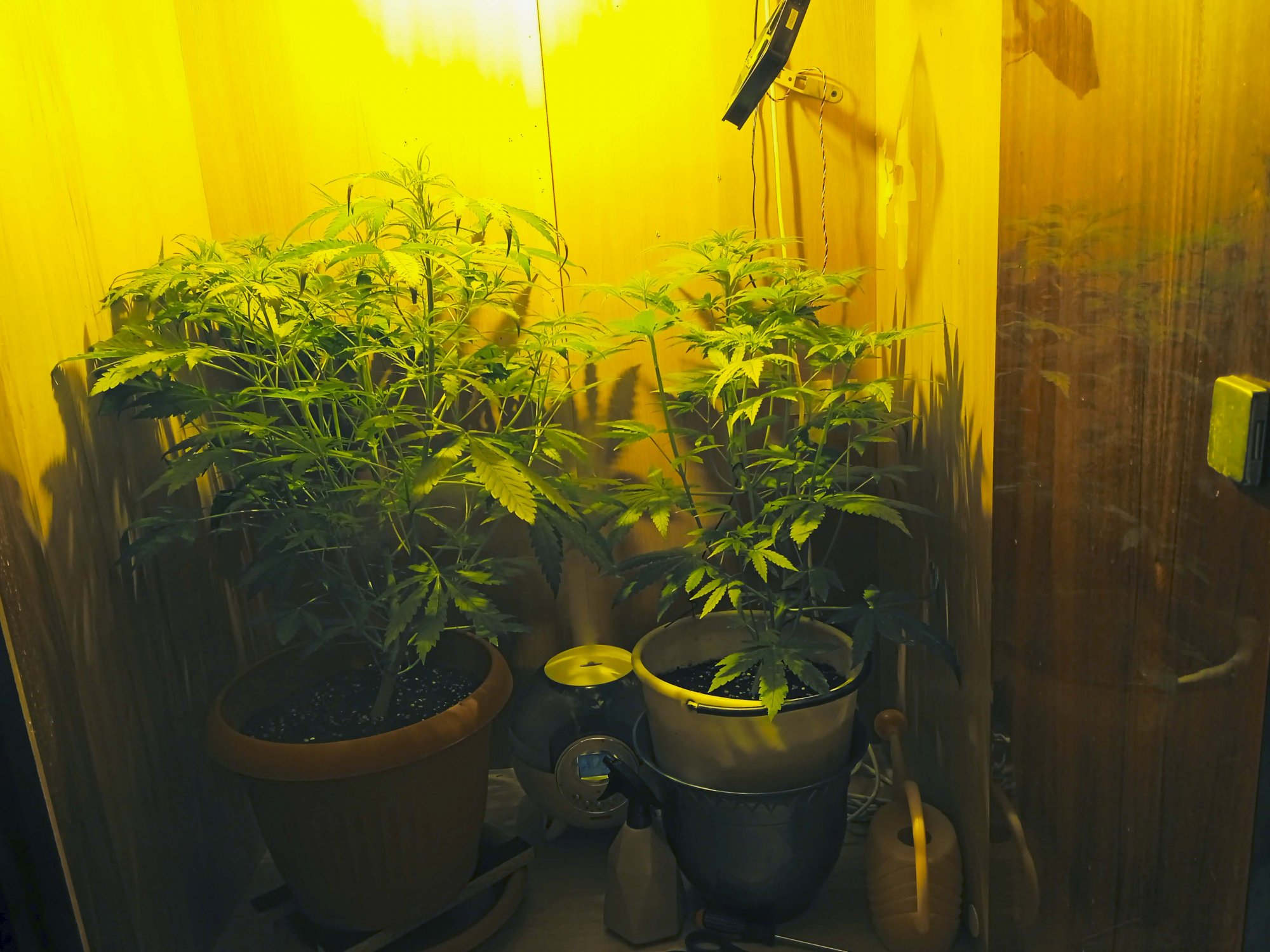 IMG_20230222_161627.jpg IMG_20230222_161627.jpg