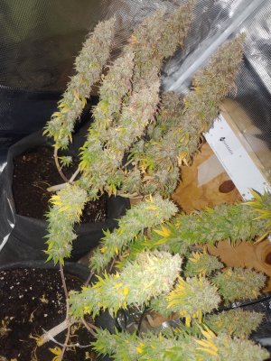 20230222_213650.jpg 20230222_213650.jpg