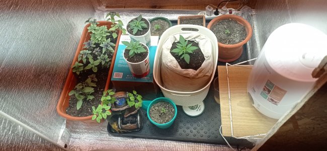 IMG_20230223_201205.jpg IMG_20230223_201205.jpg