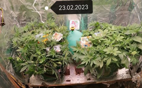 IMG_20230223_234548_edit_52662333122172.jpg IMG_20230223_234548_edit_52662333122172.jpg