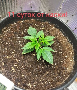 Screenshot_2023-02-21-16-48-56-989_com.miui.gallery-edit.jpg Screenshot_2023-02-21-16-48-56-989_com.miui.gallery-edit.jpg