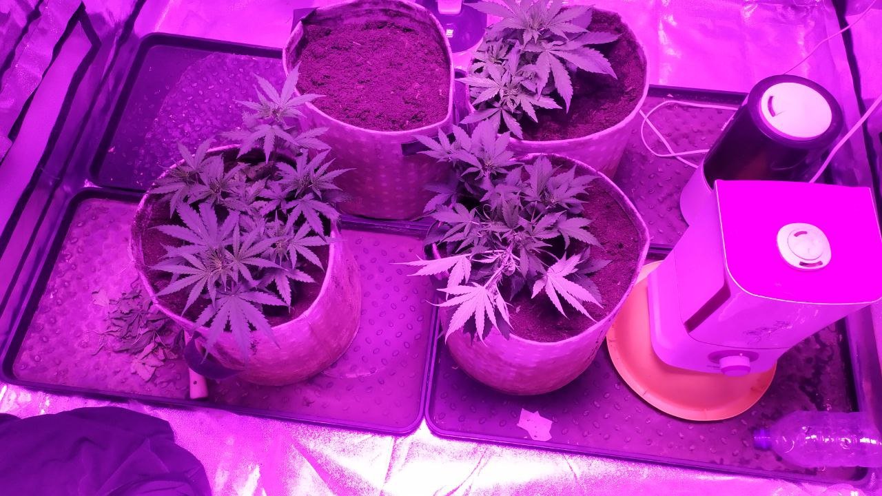 photo_2023-02-23_14-52-57.jpg photo_2023-02-23_14-52-57.jpg