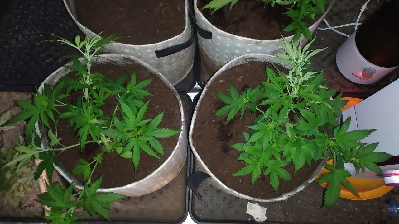 photo_2023-02-23_14-53-00.jpg photo_2023-02-23_14-53-00.jpg