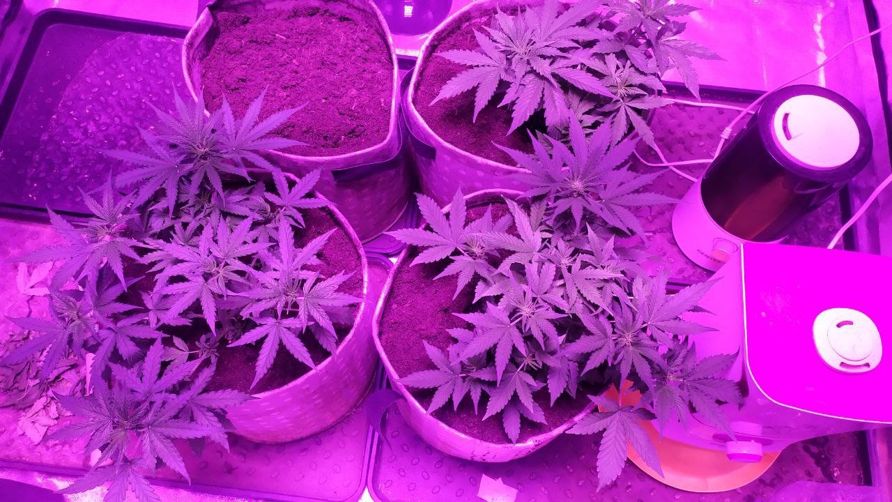 photo_2023-02-25_15-14-21.jpg photo_2023-02-25_15-14-21.jpg