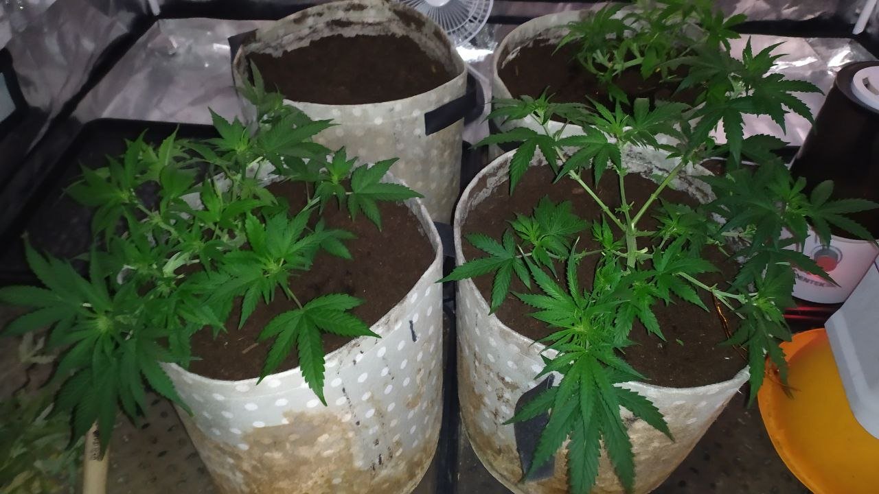 photo_2023-02-25_15-14-20 (2).jpg photo_2023-02-25_15-14-20 (2).jpg