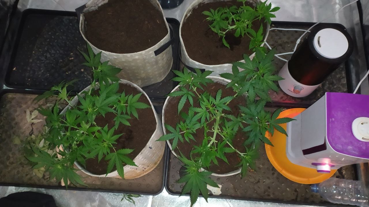 photo_2023-02-25_15-14-20.jpg photo_2023-02-25_15-14-20.jpg