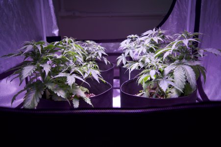 DSC04436.jpeg DSC04436.jpeg