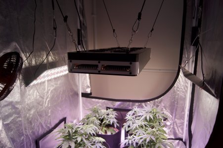 DSC04440.jpeg DSC04440.jpeg