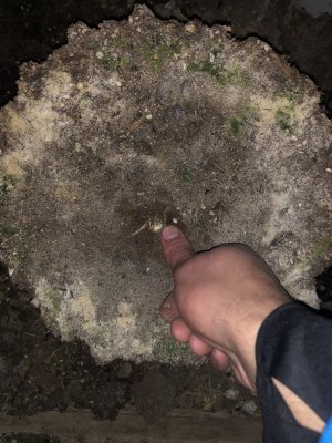 IMG_8037.JPG IMG_8037.JPG