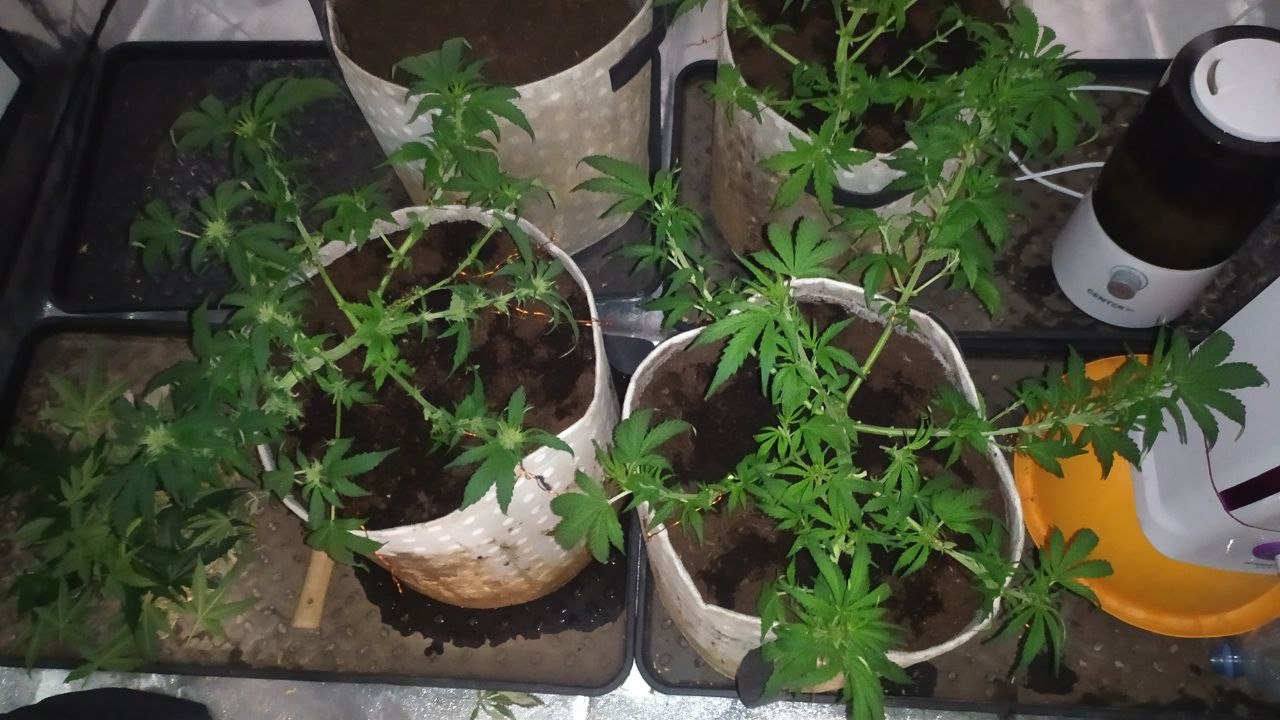 photo_2023-03-02_18-07-58 (2).jpg