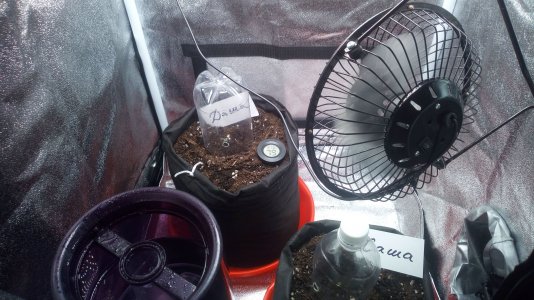 04.03.23 (3).jpg 04.03.23 (3).jpg