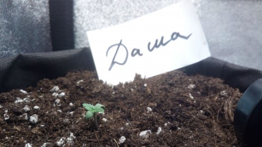 05.03.23 (2).jpg 05.03.23 (2).jpg