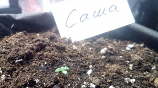 05.03.23 (1).jpg 05.03.23 (1).jpg