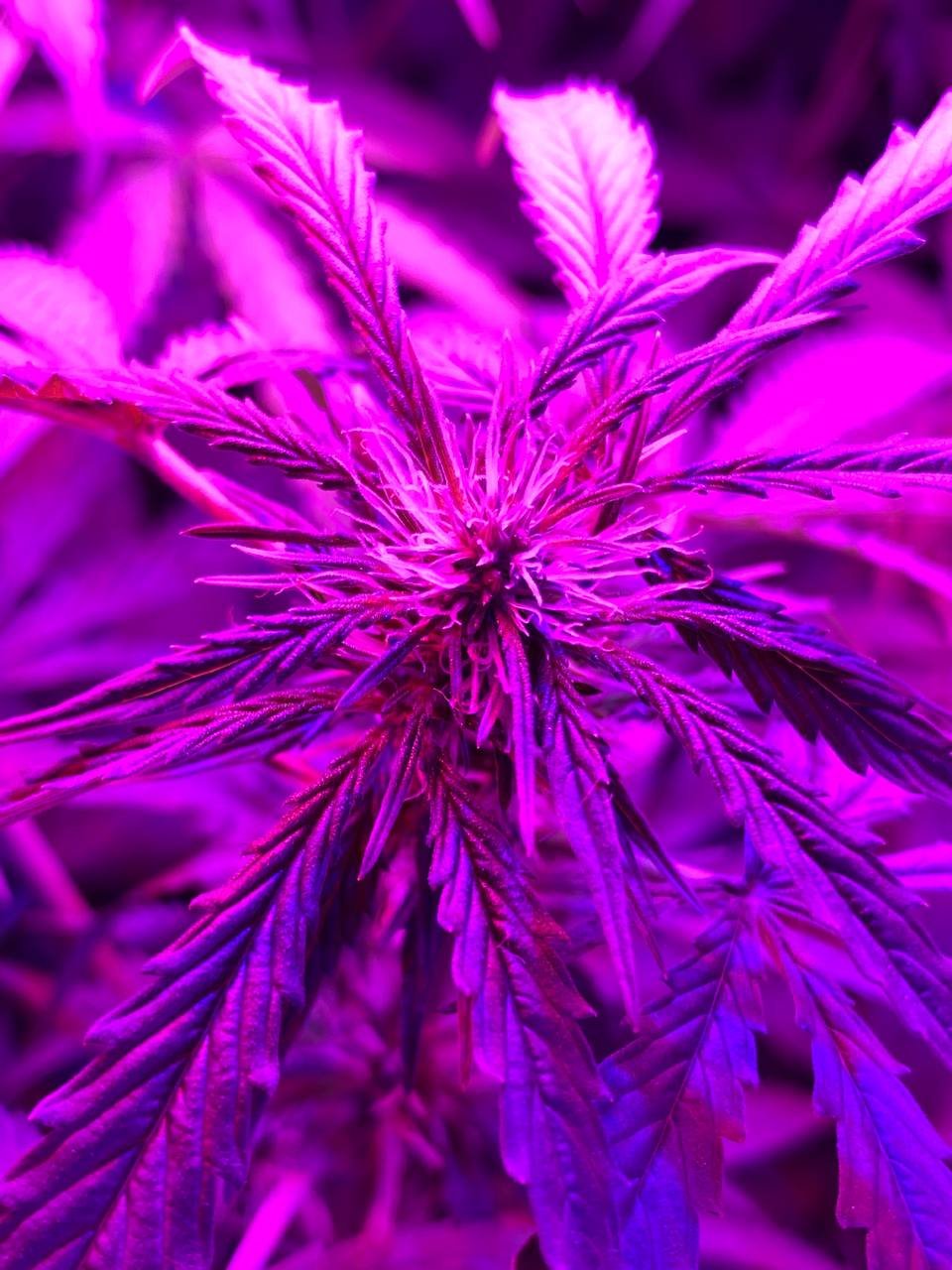 photo1678098168 (2).jpeg