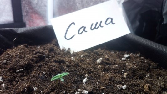 06.03.23 (3).jpg 06.03.23 (3).jpg