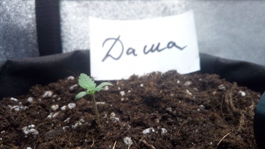 07.03.23 (1).jpg 07.03.23 (1).jpg