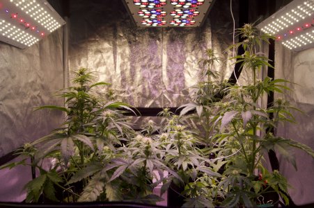 DSC04467.jpeg DSC04467.jpeg