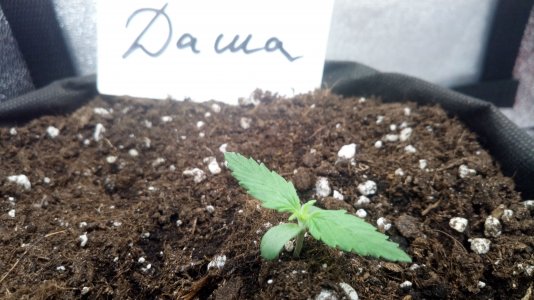 08.03.23 (2).jpg 08.03.23 (2).jpg