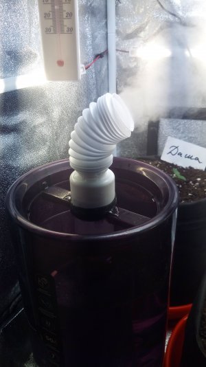 08.03.23 (1).jpg 08.03.23 (1).jpg