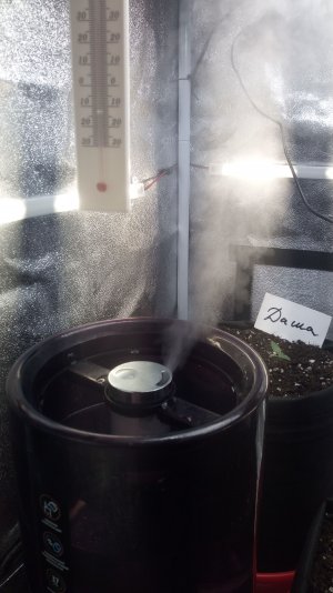 08.03.23 (4).jpg 08.03.23 (4).jpg