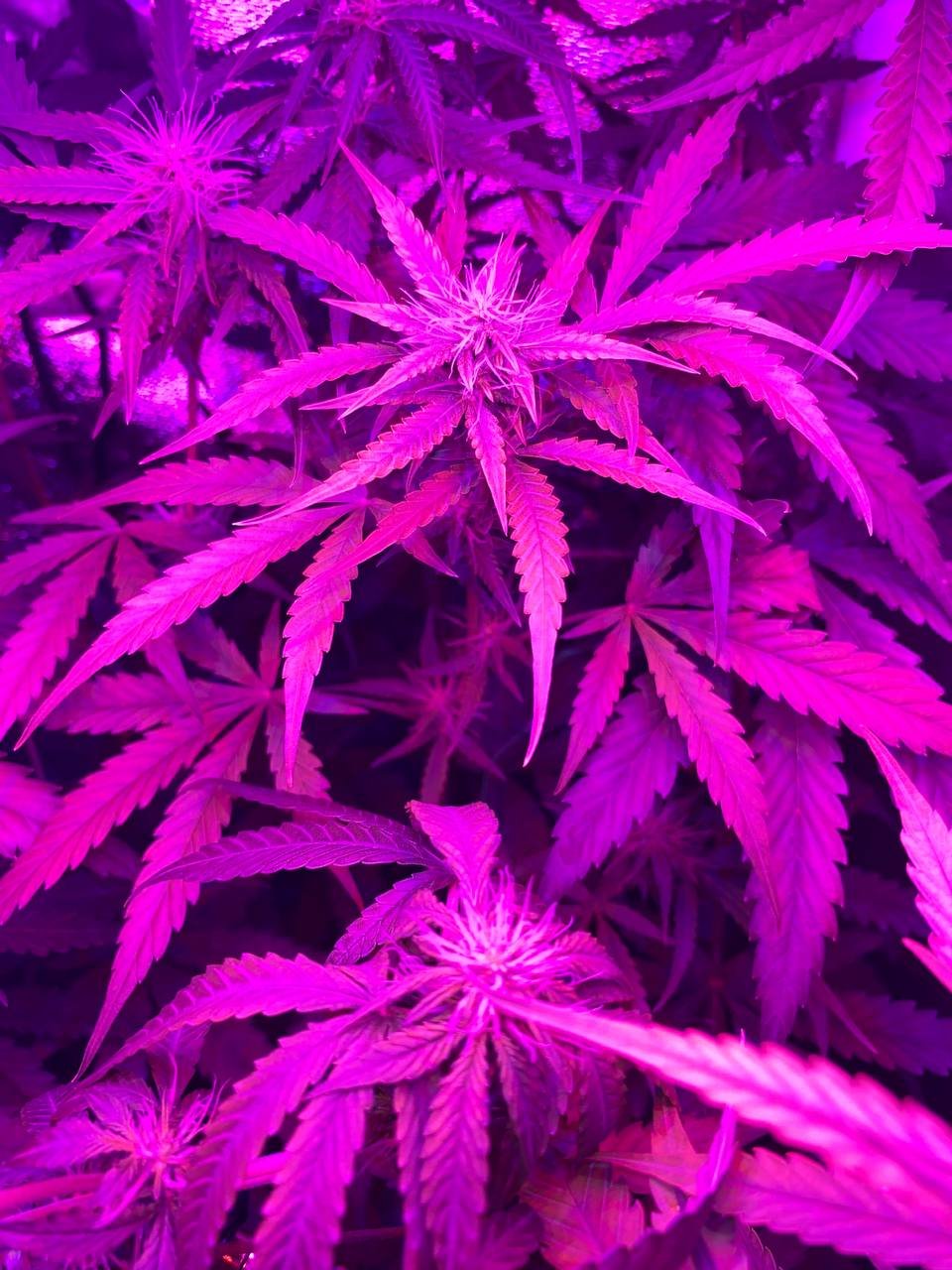 photo1678543655 (1).jpeg