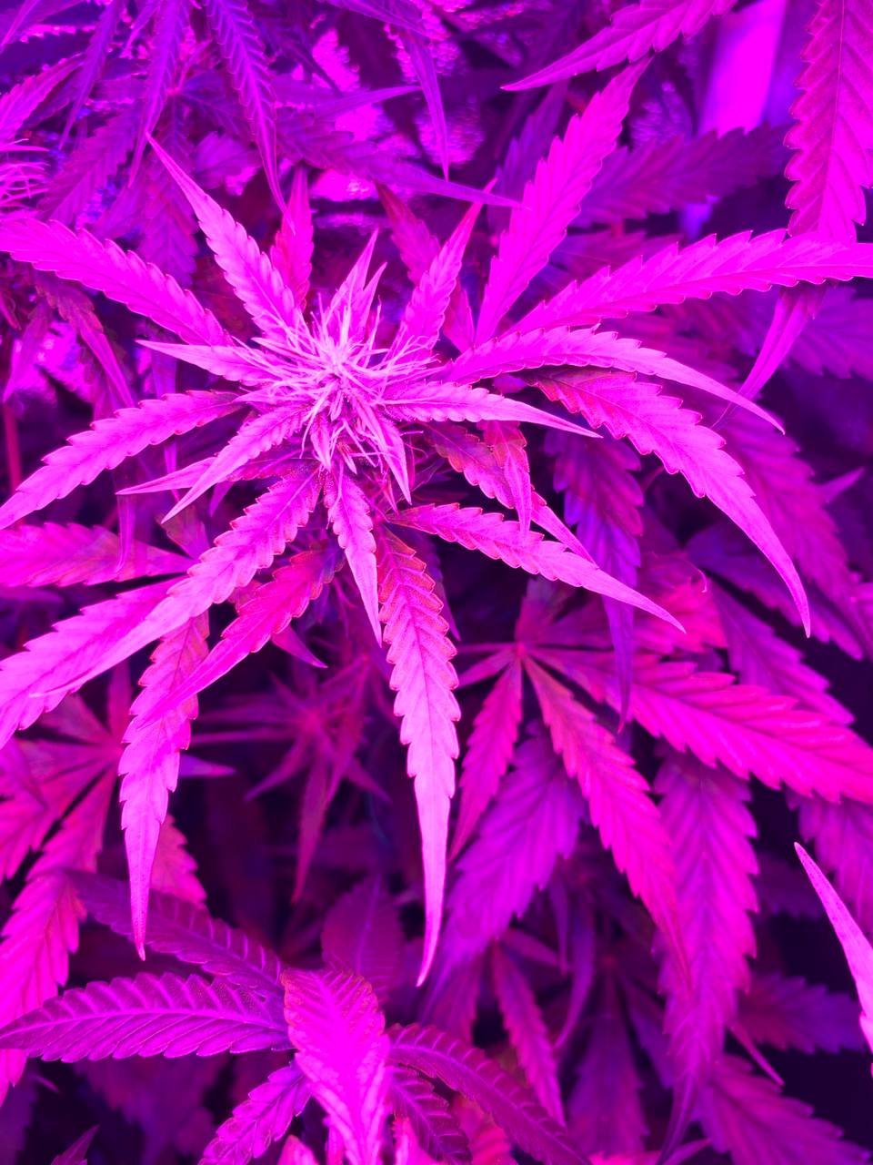 photo1678543655 (2).jpeg