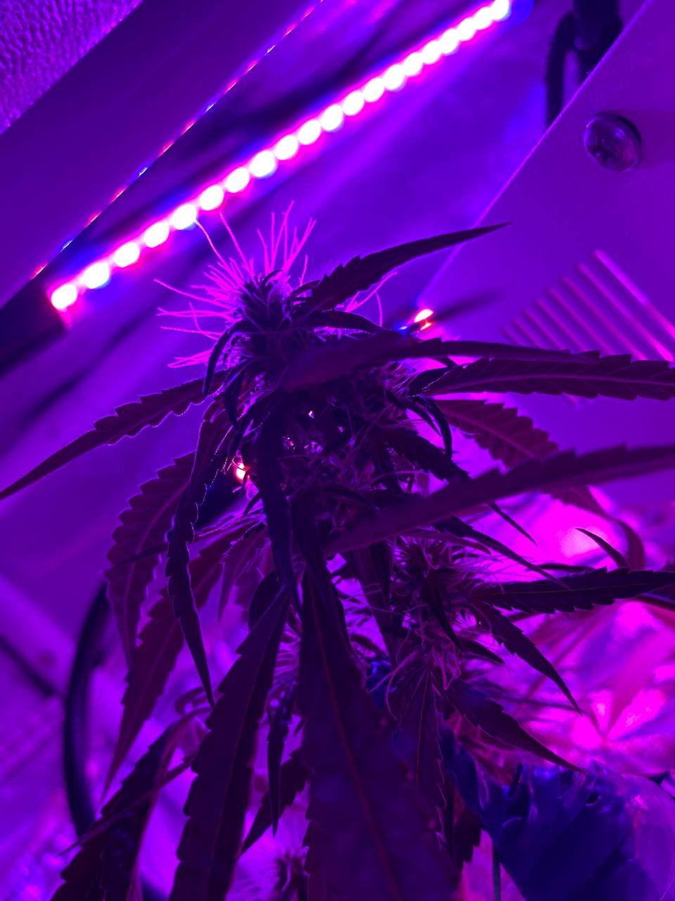 photo1678543655 (4).jpeg