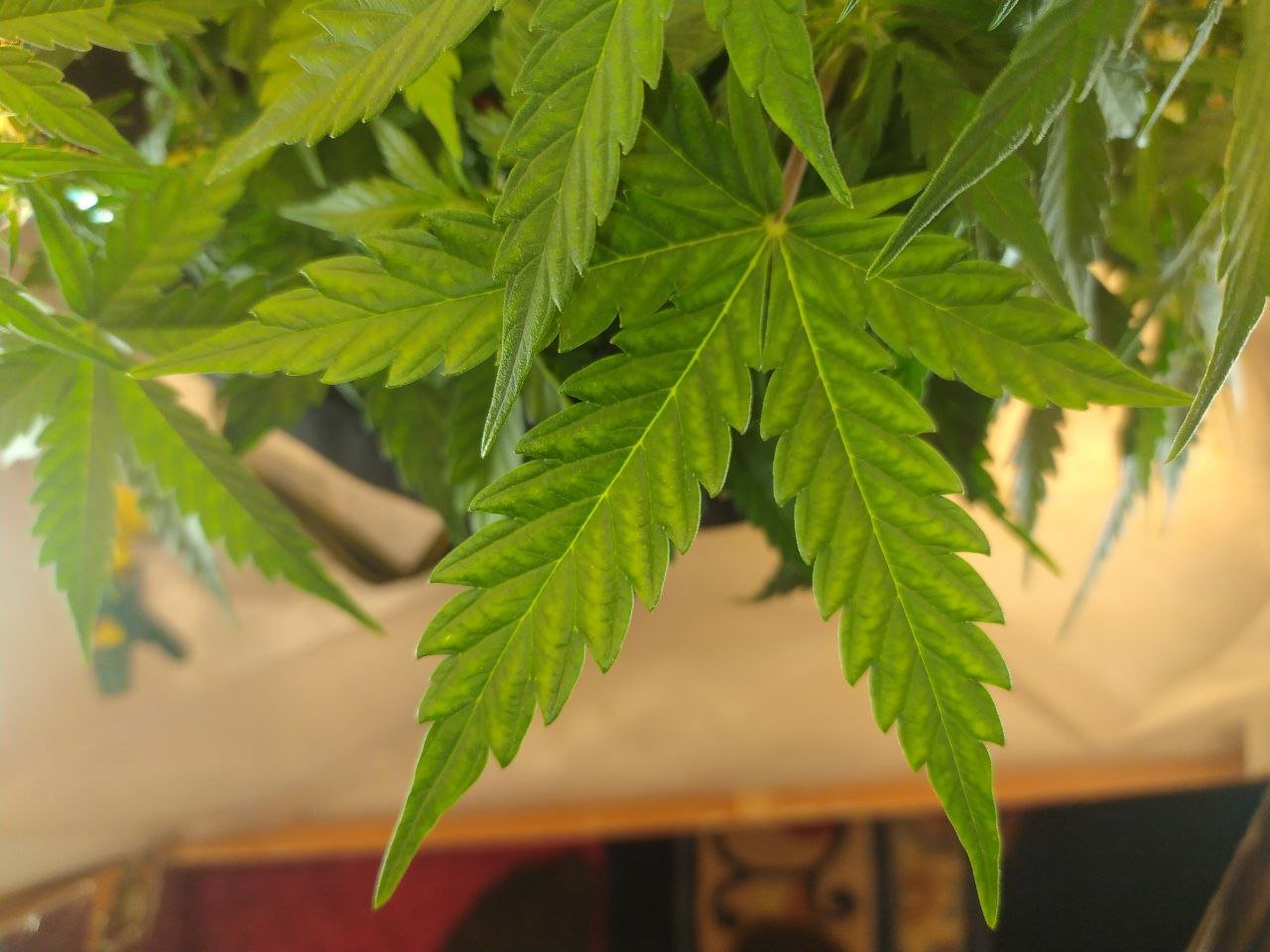 photo_2023-03-11_18-08-31 (2).jpg