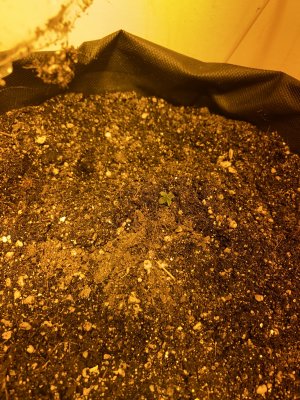 06FB7D28-B947-4A98-A2FA-4051DD324A64.jpeg 06FB7D28-B947-4A98-A2FA-4051DD324A64.jpeg