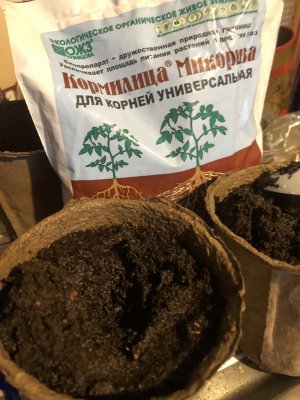 BA130B5D-0BE9-4ACD-B765-3E4000B505A3.jpeg BA130B5D-0BE9-4ACD-B765-3E4000B505A3.jpeg