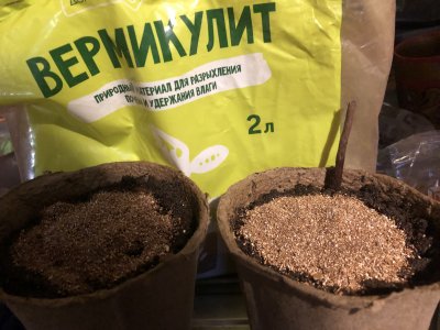 87EE83C2-A2C8-4785-AE79-61E5040CBCFE.jpeg 87EE83C2-A2C8-4785-AE79-61E5040CBCFE.jpeg