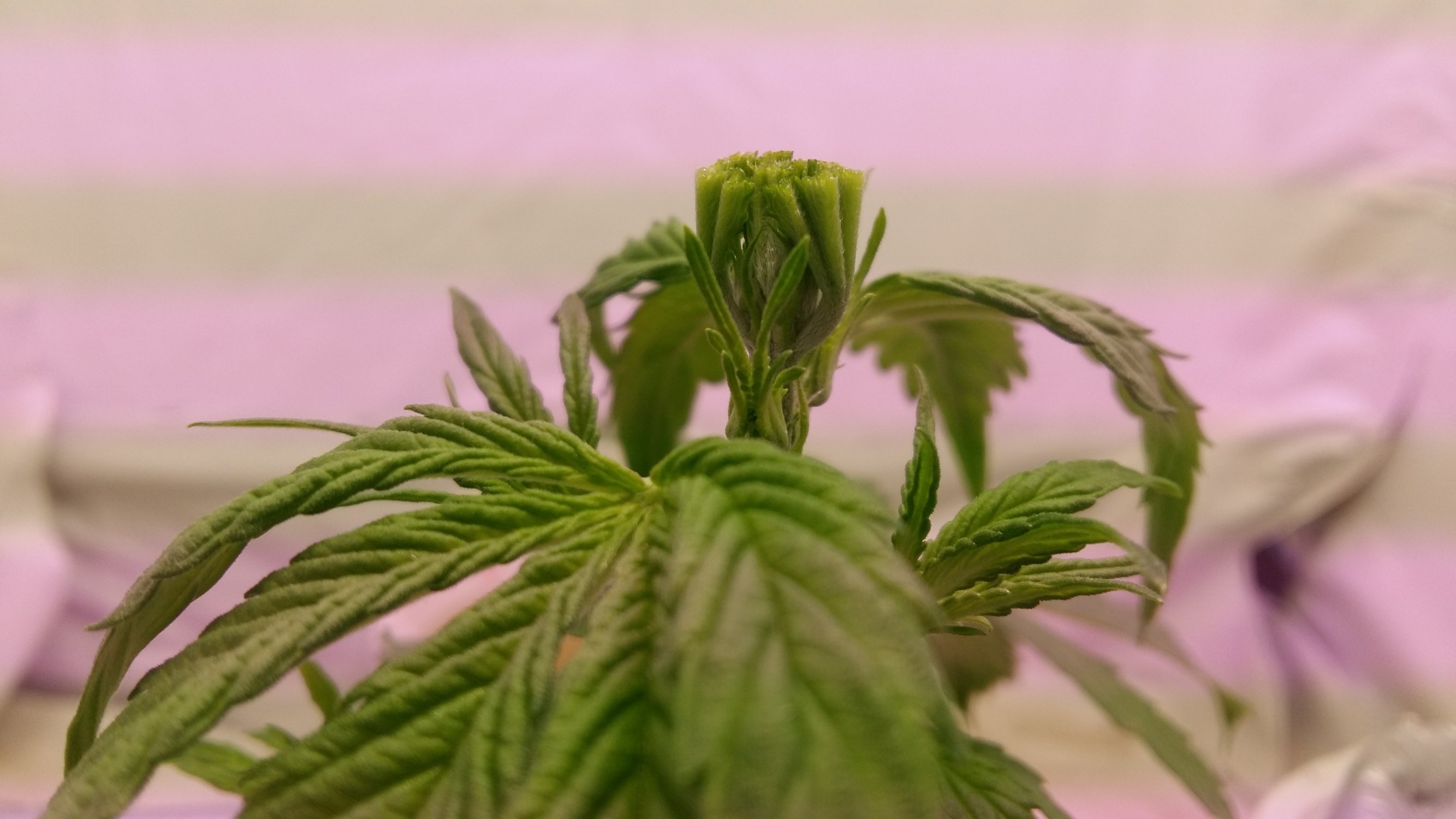 20230224_213636.jpg 20230224_213636.jpg