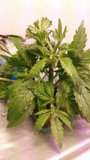 20230226_190419.jpg 20230226_190419.jpg