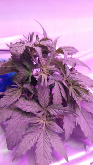 20230227_140147.jpg 20230227_140147.jpg