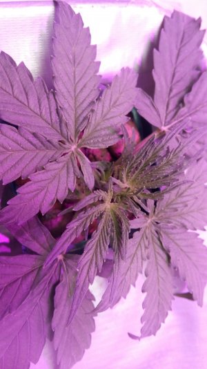 20230227_140152.jpg 20230227_140152.jpg