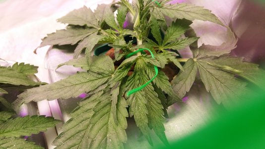 20230228_210329.jpg 20230228_210329.jpg