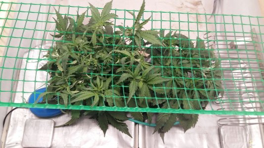 20230305_204013.jpg 20230305_204013.jpg