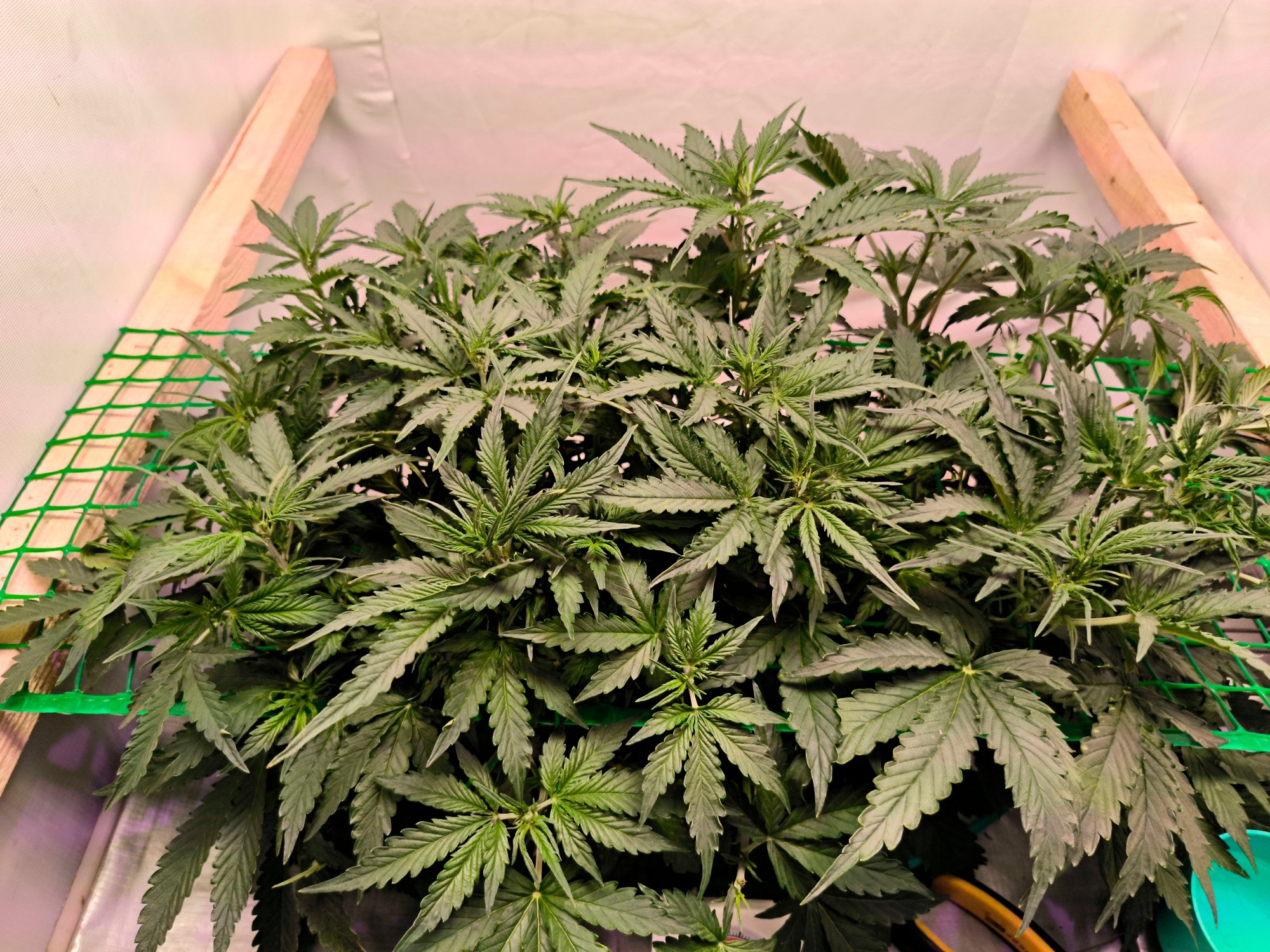 IMG_202.jpg IMG_202.jpg