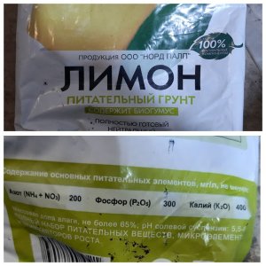 Сад Чудес Лимон.jpg