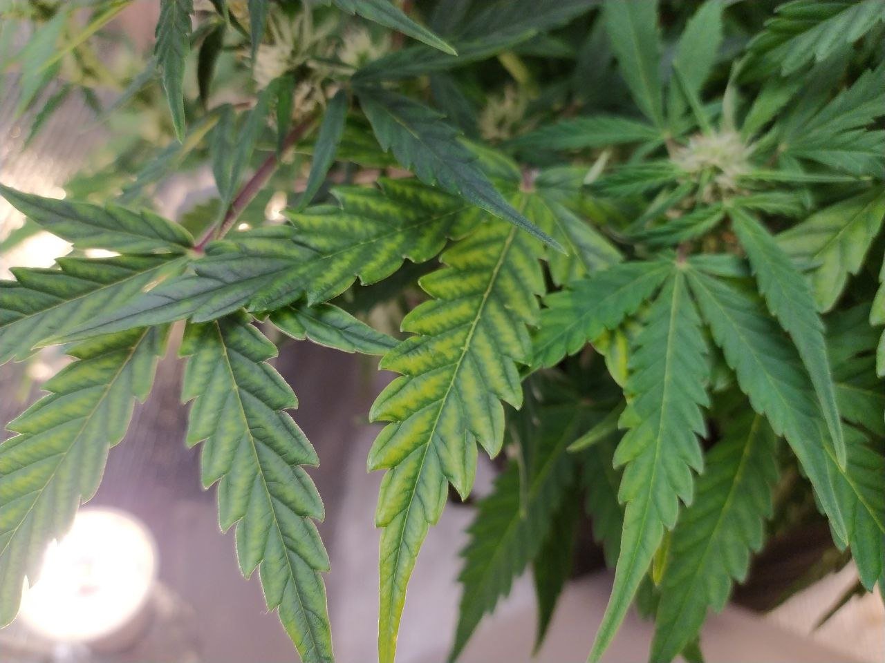 photo_2023-03-19_13-03-02 (2).jpg photo_2023-03-19_13-03-02 (2).jpg